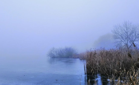 Де у Старокостянтинові можна освятити воду та пірнути в ополонку