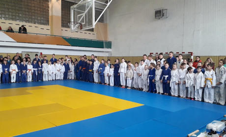 Одинадцять троїцьких дзюдоїстів здобули призові місця на обласних змаганнях