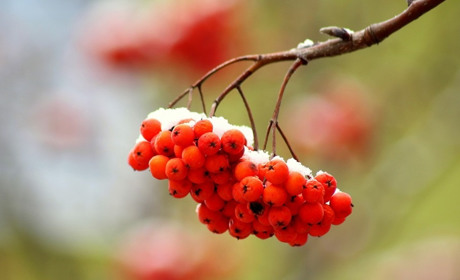 Куди піти у Старокостянтинові і Хмельницькому з 23 по 30 січня. Найближчі події тижня