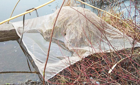 На Кагарличчині рибпатруль зловив рибалку-порушника з “павуком”