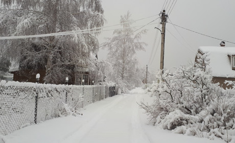 Наслідки негоди: на Білопільщині сталася ДТП та 72 населених пункта області лишилися без світла