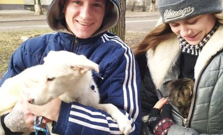 У Лозівчанки, яку підозрюють у вбивстві кота, забрали інших хатніх тварин 