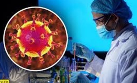 Що потрібно знати про коронавірус 2019-nCoV? Розповідає Держпродпоживслужба