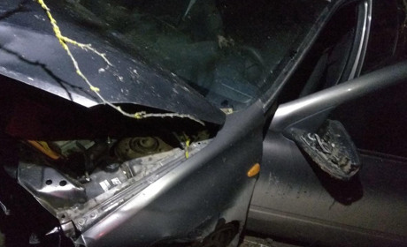 В Барському районі 14-річний водій автівки врізавня в дерево. Один пасажир загинув 