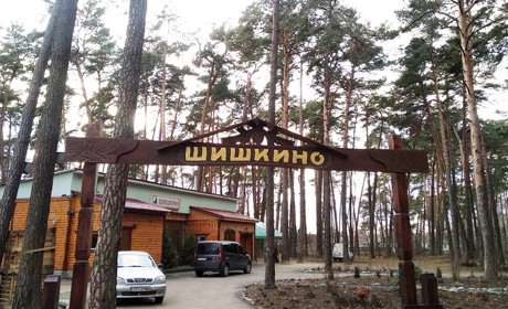 П’ять фішок сосницького ресторану «Шишкіно»