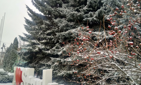 Невже випаде сніг: гідрометцентр попереджує про погіршення погодніх умов