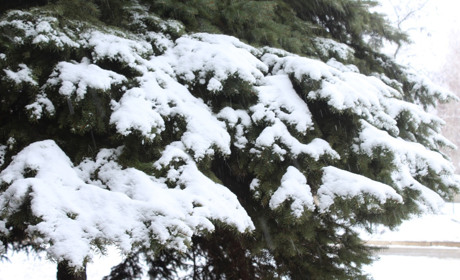 Троїцькі рятувальники радять підготуватися до холодів 