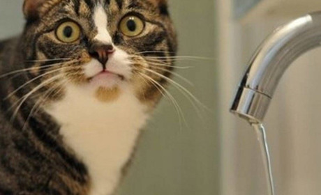 Через негоду Добропілля може залишитися без води