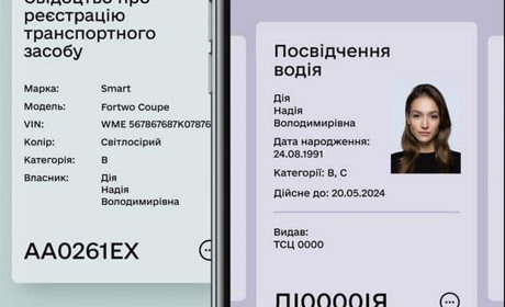 Мобильное приложение с цифровыми документами водителя "Дія" доступно в Измаиле (видео)