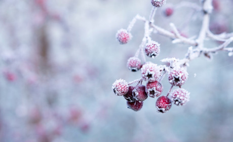 У Кагарлику і районі вихідні синоптики прогнозують без опадів