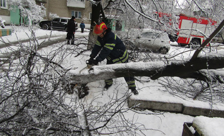 Рятувальники Добропілля допомогли водієві "визволити" автомобіль, на який впало дерево