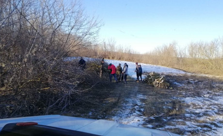 І допомога онкохворій дівчинці, і благоустрій міста: як активісти поєдналии дві добрі справи