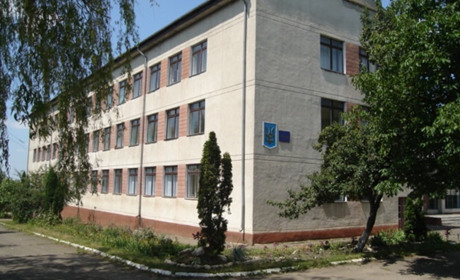 У Ставчанській ОТГ створять опорну школу з філією в Малятинцях