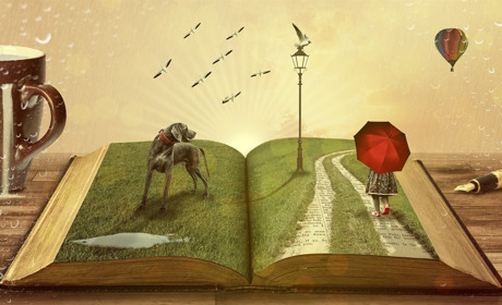 Онлайн-опрос: сколько книг никопольчане прочитали за последний год 