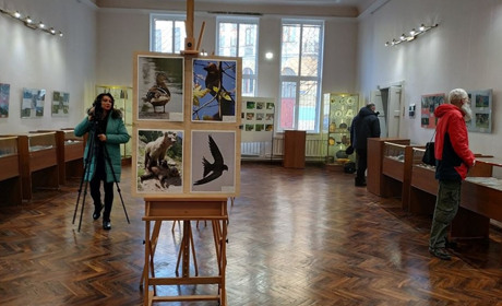 У Калуші гірський рятувальник показує 186 світлин про фауну Карпат: виставка діє до 12 березня