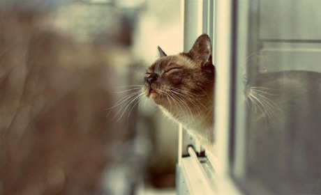 Погода у Старокостянтинові з 17 по 23 лютого: по-весняному тепло