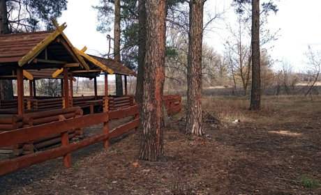 Погодні аномалії: зимовий режим на Золотоніщині  так і не встановився