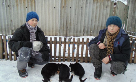 Сільські діти зняли відеоролики, де розповідають як дбати про домашніх тварин