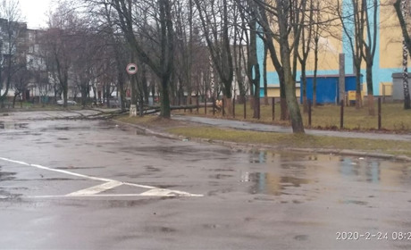 Вітер у Калуші повалив дерева, у Підгірках немає світла