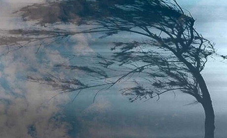 На Хмельниччині за ніч знеструмлено 227 населених пунктів: де найбільше