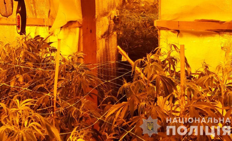 Группа жителей района организовала наркобизнес с миллионными сделками