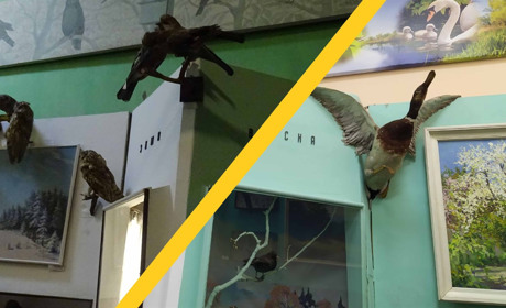 Як змінилися зали конотопського краєзнавчого музею після ремонту. Фото до та після