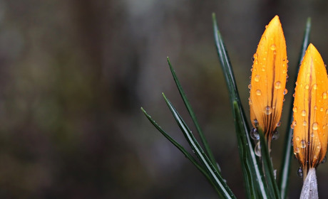 Погода у Старокостянтинові з 2 по 8 березня: очікуємо тепло