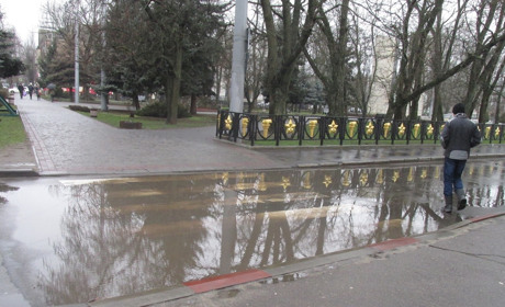 Чиновник ответил, сколько будут «неуклюже бежать пешеходы по лужам» и что составит компанию елкам