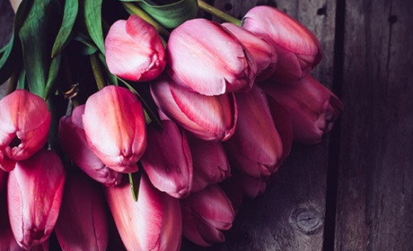 Як старокостянтинівчанок вітали: фото із соцмереж 