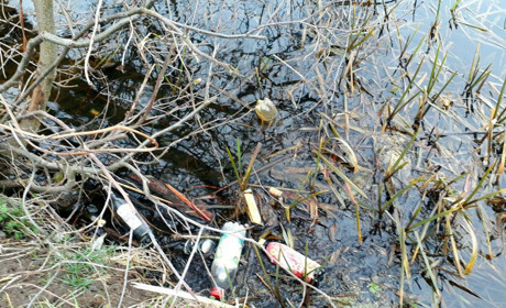 Журналісти ШосткаNews.City прибрали берег Галенківського озера