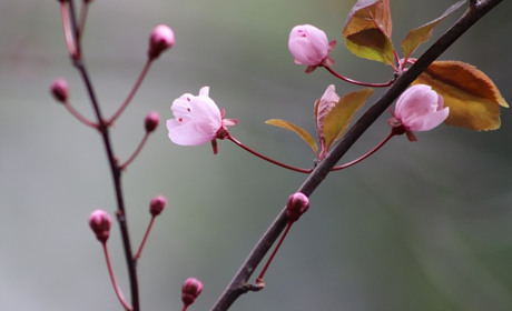 Погода у Старокостянтинові з 16 по 22 березня: очікується похолодання до -4 і мокрий сніг