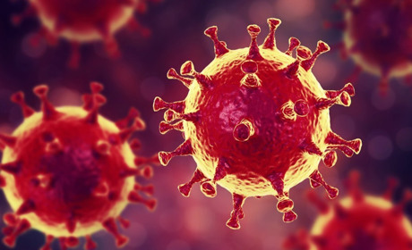 Міфи та правда про коронавірус