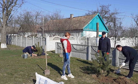 В рамках еко-проєкту “Озеленення України” в Новоолександрівці висадили дерева