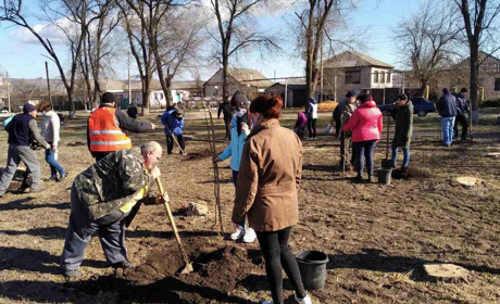 Двісті сімдесят саджанців посадили цієї весни троїчани