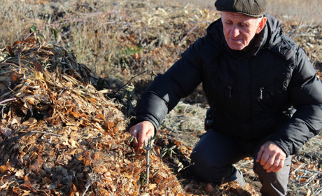 Троїцький городник Олексій Бут  радить не поспішати робити грядки  зараз, а діждатися тепла