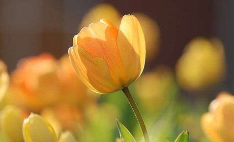 Погода на 23-29 березня: коли чекати потепління