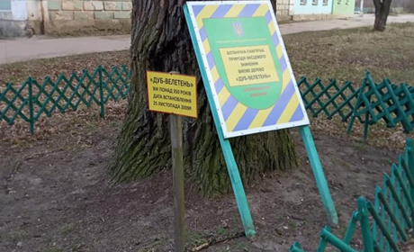 У Шостці хазяйнують вандали 