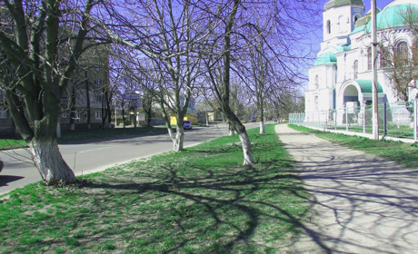 З 26 березня на Золотоніщині буде багато сонця,  вітер стихне