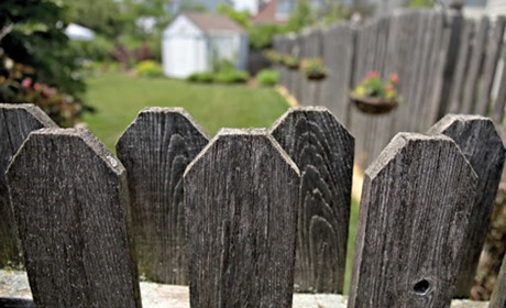 А що у сусідів: наркотики, погрози з пістолетом та викриття тих, хто не самоізолювався