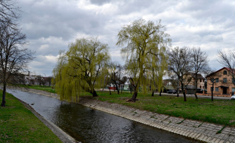  Весна набирає обертів: очікуємо потепління
