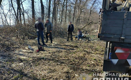 На Полтавщині затримали п'ятьох осіб, які незаконно спилювали дерева
