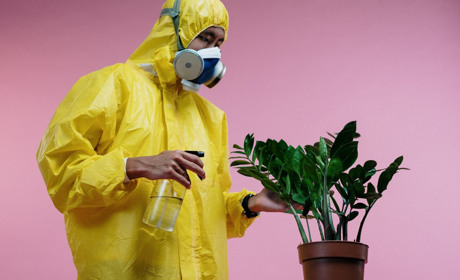 Хто ти у коронавірусні часи