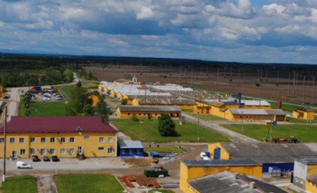 Як «Ґудвеллі Україна» працює в умовах надзвичайної ситуації