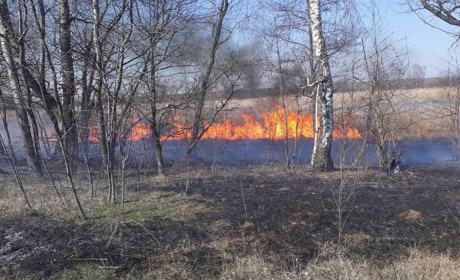 Сезонна проблема: жителі Чортківщини продовжують палити суху траву (фотофакт)