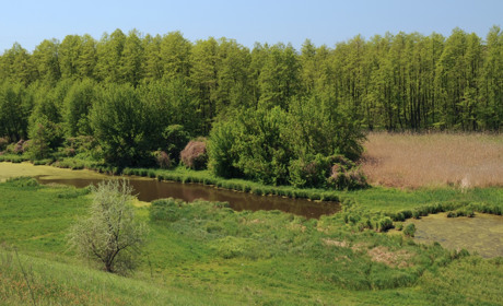 Під час карантину село Кропивна на Золотоніщині живе своїм життям,  хоча тривога відчувається
