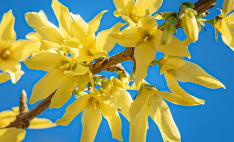 Погода на 30 березня по 5 квітня: сонце сховається і похолодає