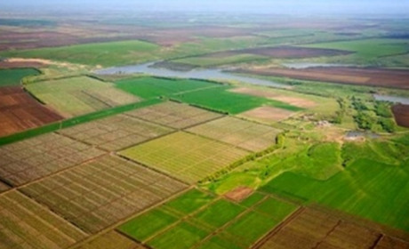 Землю продаватимуть з 2021 року: Верховна Рада схвалила закон про ринок землі у другому читанні