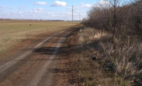 Верховна Рада проголосувала за ринок землі: депутат Лубінець з Волновахи голосував проти