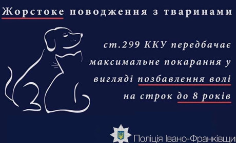 У Калуському районі застрелили трьох собак. Поліція відкрила кримінальне провадження
