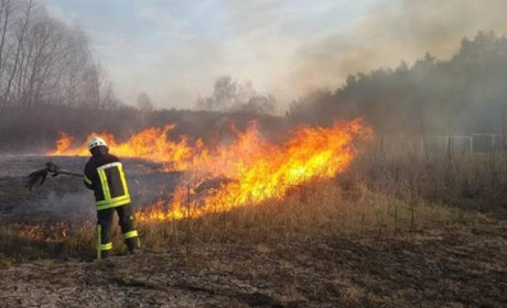 Пекельний тиждень: палії продовжують тероризувати Гадяч та район
